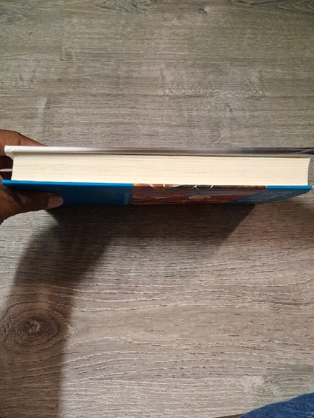 Rosalyn McMillan "The Flip Side of Sin" - Blue Cover Novel - Picture 5 of 8